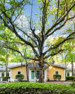 Photo of Teresa Sosa - Sea Grove Recovery, Treatment Center