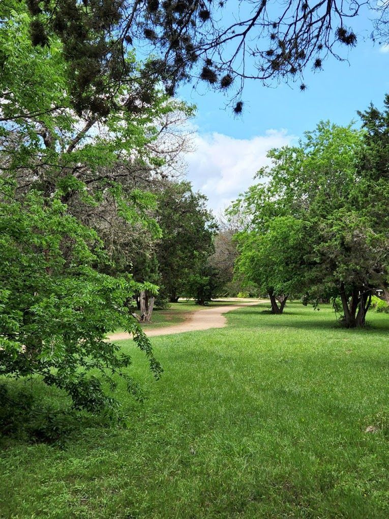 The park in which I have Walk and Talk sessions!