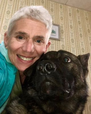 Photo of Judi Lynn Cohen, Clinical Social Work/Therapist, LCSWR