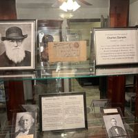 Gallery Photo of Founders of Psychology in Waiting Area