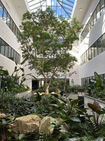Gallery Photo of The shared open atrium space. Come a few minutes before your appointment or stay a while after and enjoy the beautiful green space even in the winter!