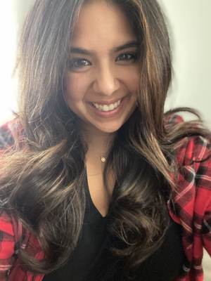 Photo of Sarika Singh, Clinical Social Work/Therapist in Manhasset, NY
