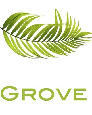 Photo of Grove Therapy, , Psychotherapist in Navan