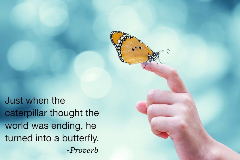 Empowered Psychiatry and Wellness, Psychiatric Nurse Practitioner, Katy, TX, 77494 Psychology