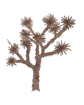 Photo of Joshua Tree Counseling , Licensed Professional Counselor in Tucson, AZ