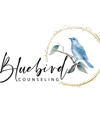 Photo of NANCY HERNANDEZ - Bluebird Counseling, Nancy Hernandez , Clinical Social Work/Therapist, LMSW