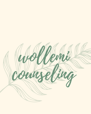 Photo of Wollemi Counseling, Clinical Social Work/Therapist in 44011, OH