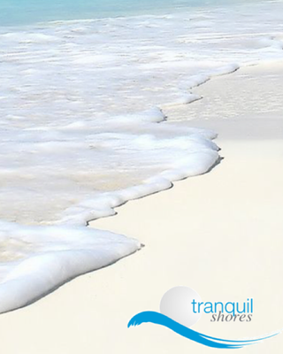 Photo of Tranquil Shores Dual Diagnosis Program, Treatment Center in Madeira Beach