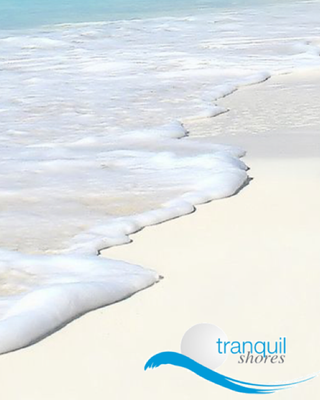 Photo of Tranquil Shores Dual Diagnosis Program, Treatment Center in Saint Petersburg, FL