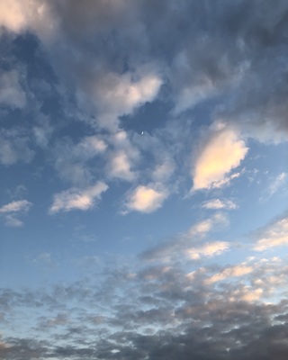 Photo of Petaluma Counseling Center, Marriage & Family Therapist in Petaluma, CA