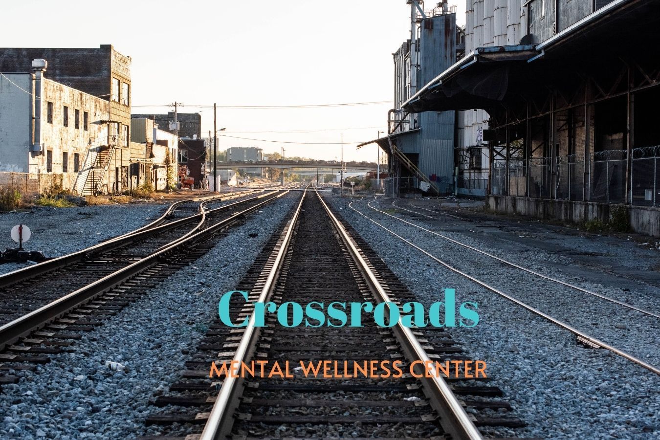 Crossroads Mental Wellness Center, Licensed Professional Counselor