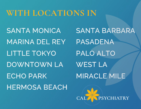 Beatrice Rabkin Psychiatrist Santa Monica CA 90402