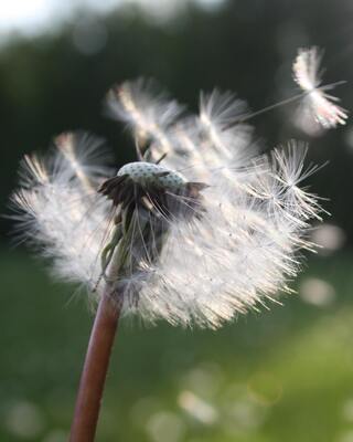 Photo of Revive Therapy, Psychotherapist in Tickencote, England