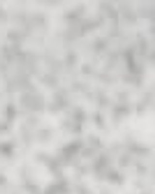 Photo of Bulela Bobo Dlala, General Counsellor