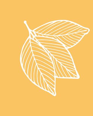 Photo of Olivia Resnick - Couve Therapy, Clinical Social Work/Therapist, LICSW