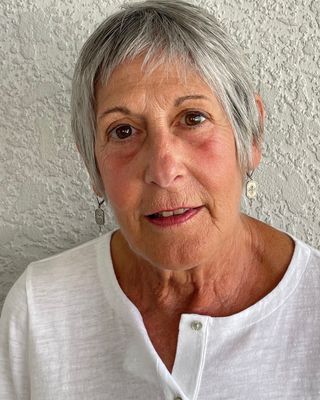 Photo of Susan Antico,LMHC,PA, Counselor in Sarasota, FL