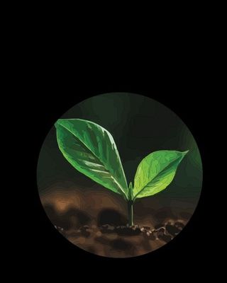 Photo of Rebecca Shanks - Inspiring Hope Psychology, Psychologist, PsyBA General