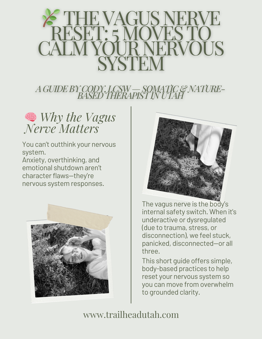 A free DIY Vagus Nerve Reset Guide. 
Available 