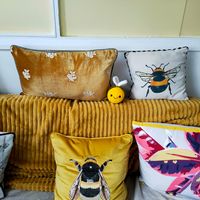 Gallery Photo of My therapy couch