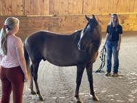 Gallery Photo of Equine Assisted Therapy in action!