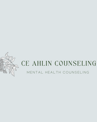 Photo of Beth Ahlin - CE Ahlin Counseling, PLLC, MA, LCPC, LPC, Counselor