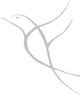 Colibri Counseling & Consulting, PLLC