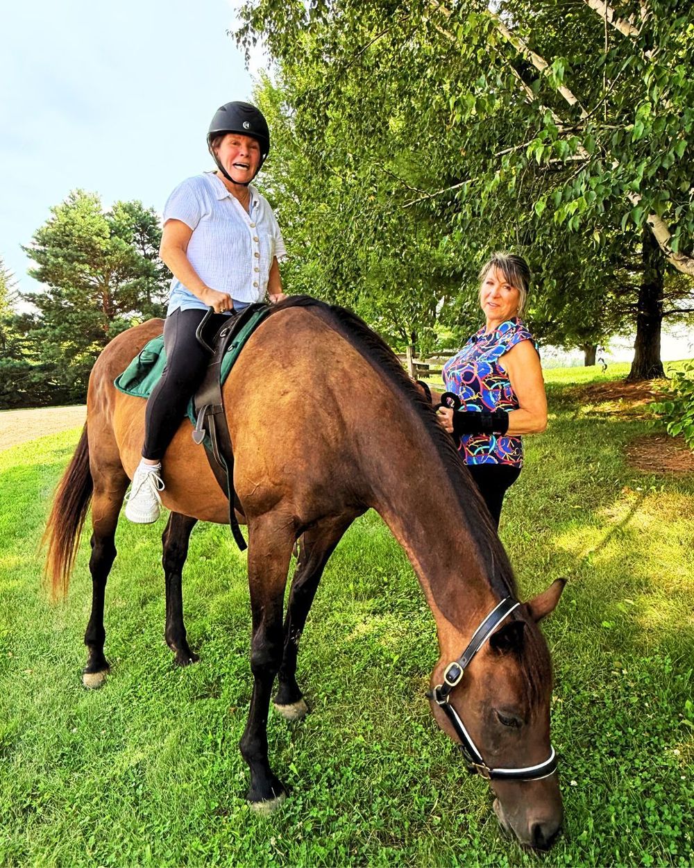 Equine Assisted Therapy