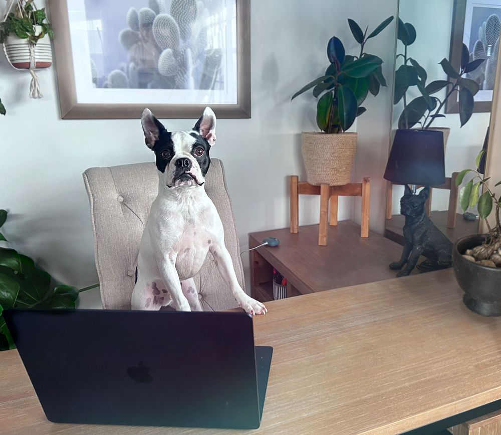 Dorian Yates, Clinical Social Work/Therapist, Jacksonville, FL, 32205 |  Psychology Today, image size:1000x867