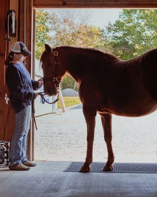 Photo of Teri Hamann - Deer Run Ranch Equine Connection, Treatment Center