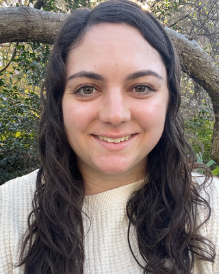 Photo of Bri Safer, Licensed Clinical Mental Health Counselor, MS, LCMHC, CRC