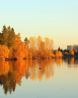 Photo of Greenlake Therapy Group , Treatment Center in Washington