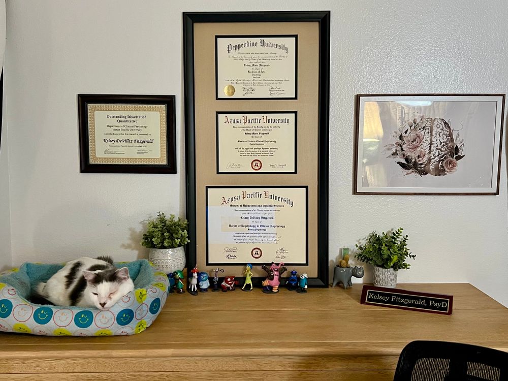 My virtual office with my "co-therapist" kitty Balou!