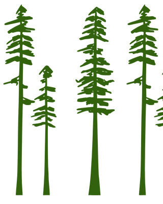 Photo of Timothy Bailey - Pine Psychiatry , Psychiatric Nurse Practitioner, APRN, PMNP-BC