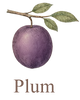 Photo of - Plum Behavioral Health Services LLC