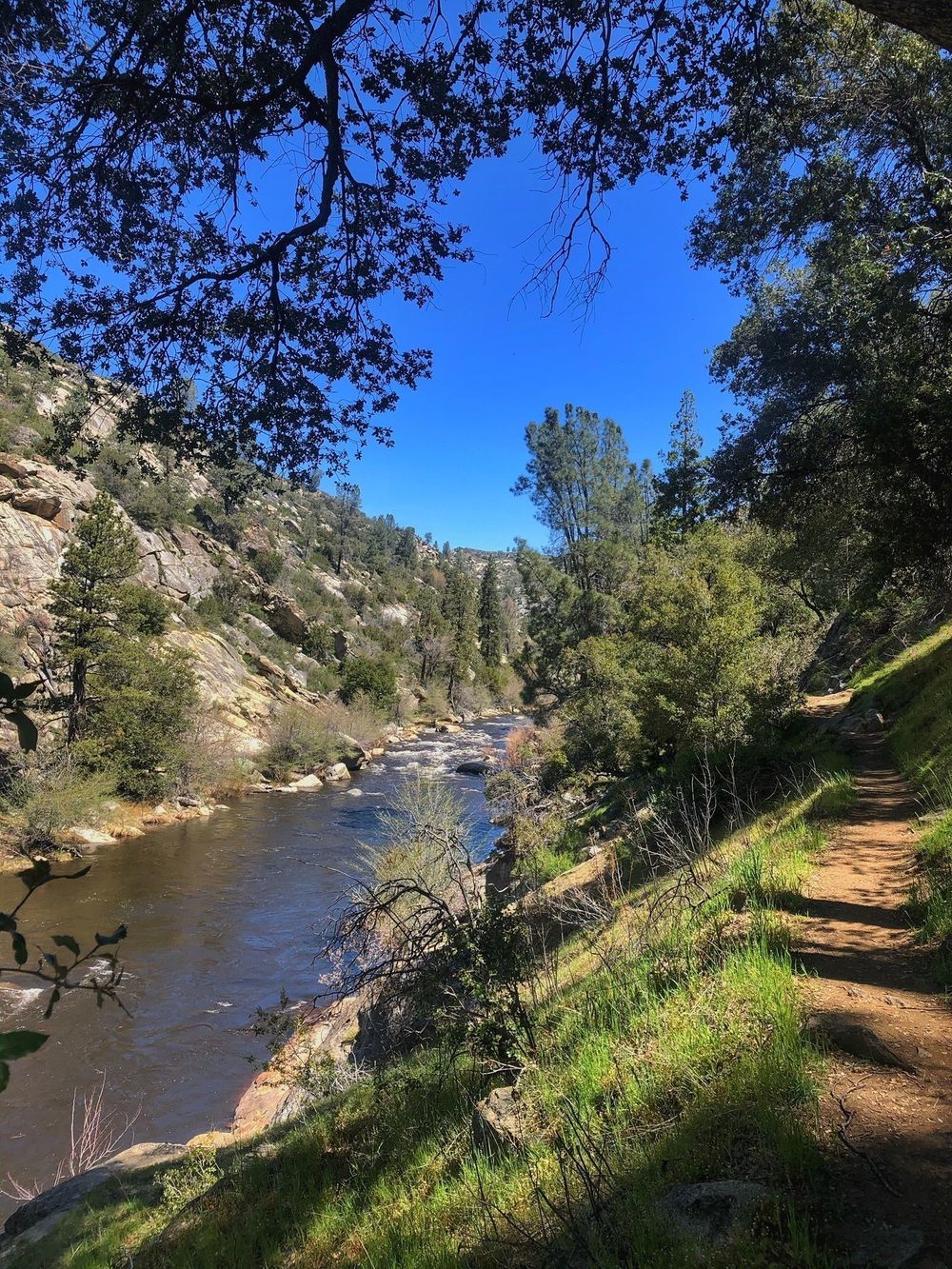 Mark Dominguez, Marriage & Family Therapist, Bakersfield, CA, 93309