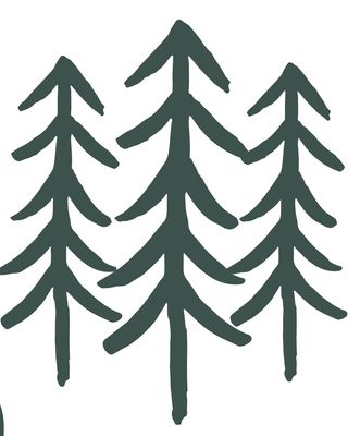 Photo of Mikki Stimson - Cascade Clinical Connections, LLC, Psychiatrist, MD