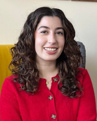 Photo of Noor Noghnogh, Pre-Licensed Professional, BA, MHP