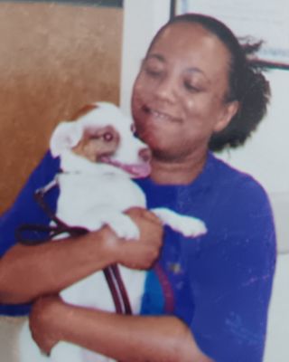 Photo of Venatoria Staple - Living Life Golden, LLC, Provisional Mental Health Counselor, Prov-L, MA, CAP