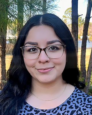 Photo of Diana Bastidas Vallejo, Clinical Social Work/Therapist, LCSW