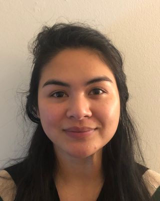 Photo of Marla Ikalina, Clinical Social Work/Therapist, LCSW
