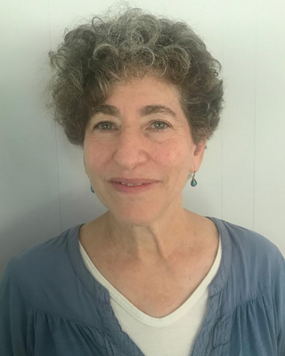 Photo of Randi Land Rothman, LISW, MSS, MA, Clinical Social Work/Therapist