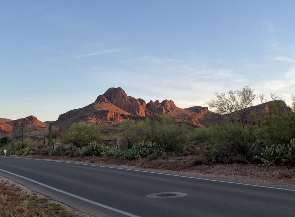 I am an Arizona native! 
