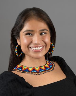 Photo of Gina M. Wehling, Clinical Social Work/Therapist, LCSW