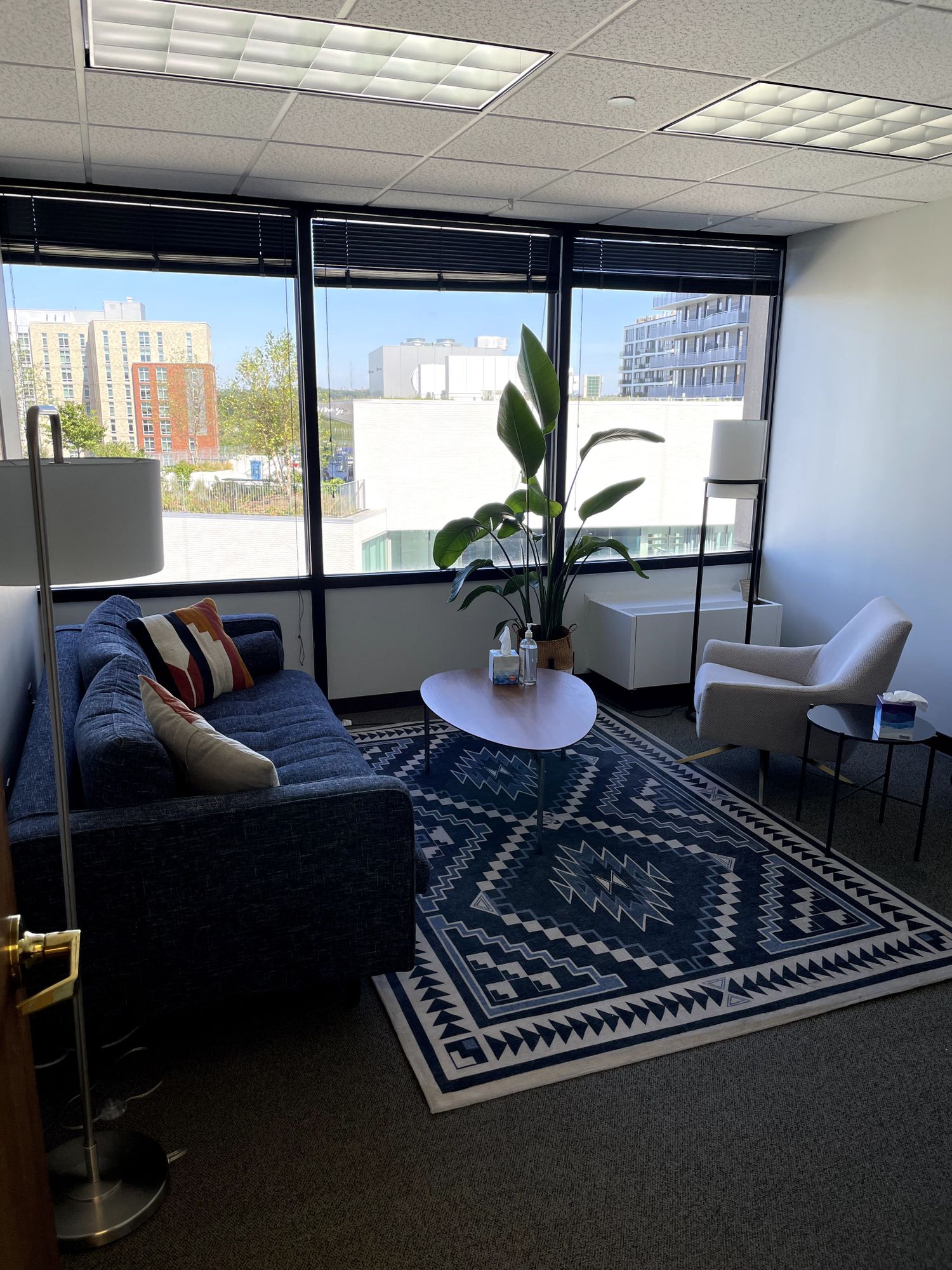 Zeyad Layous, Psychologist, Arlington, VA, 22209 Psychology Today