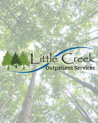 Little Creek Outpatient Services