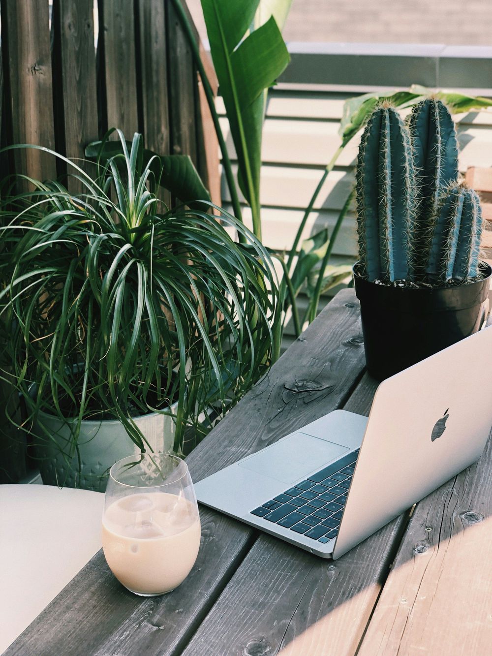 Cozy Office 