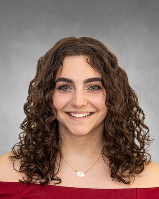 Photo of Dina Kanso, Clinical Social Work/Therapist, LLMSW