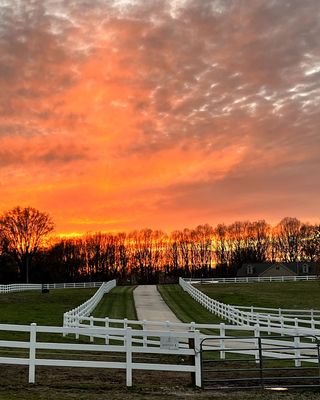 Photo of Kris Batchelor - Triple Play Farm, LLC, Treatment Center