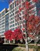 Photo of Ellie Mental Health Atlanta/Sandy Springs, Group Practice