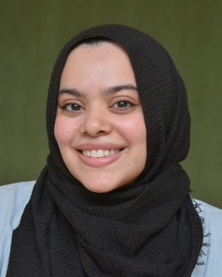 Photo of Gul Abdali, Licensed Master Social Worker, LMSW